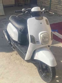 سوق الشيوخ • دراجة بوليس • سلف وهندل