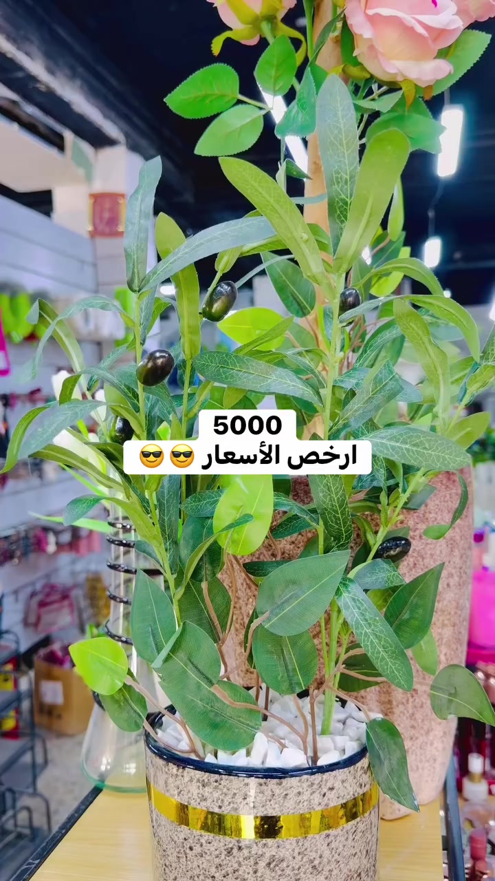 مجمع إسطنبول خانقين مقابل معمل النسيج مجاور دلسوز البزاز لا يوجد توصيل مفتحين من 2 إلى 12 مساء


**إذا كنت صاحب هذا الإعلان وتريد حذفه لأي سبب، رجاءا أرسل رسالة إلى الدعم الفني**