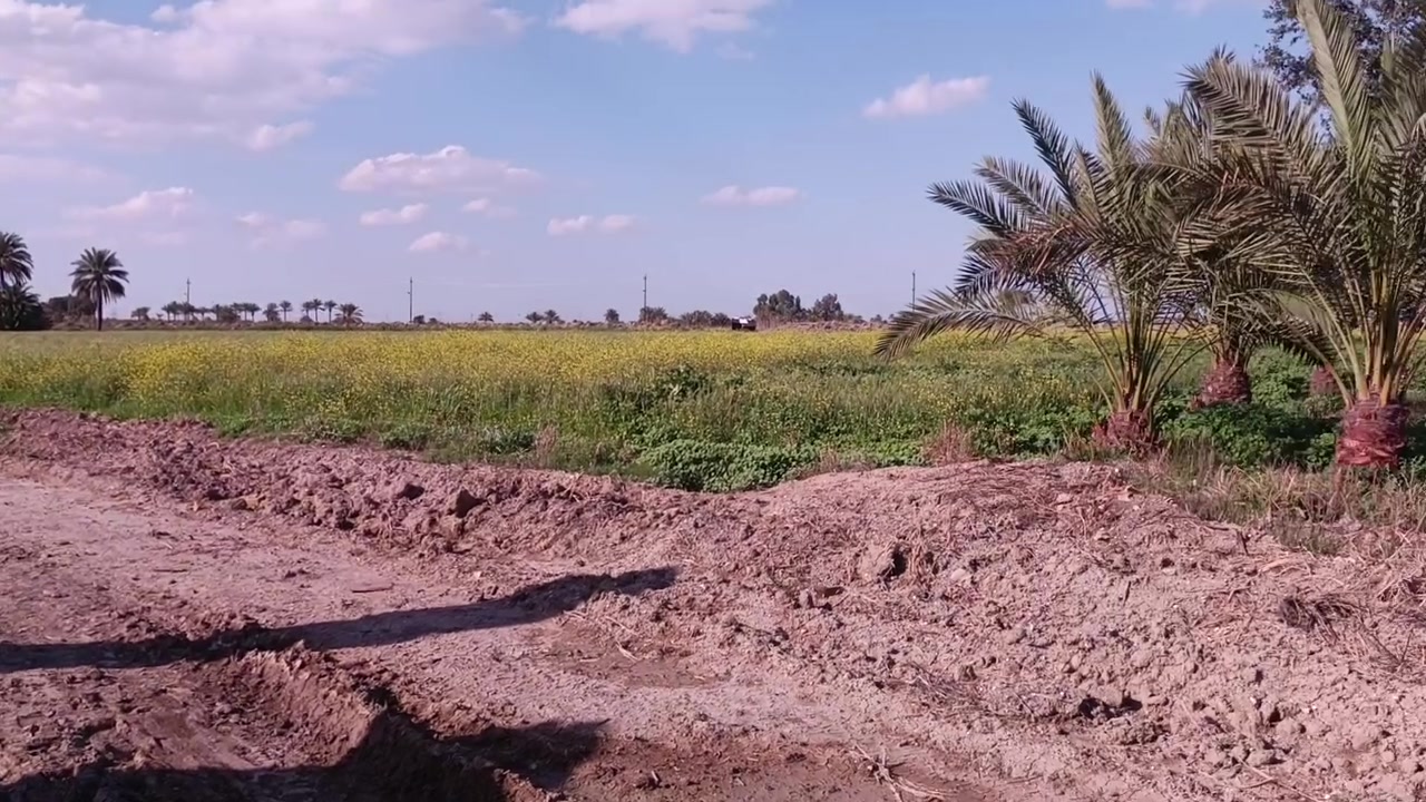 اتصل وتدلل ***********
