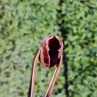 عقيق يماني ذمه وطبيعي طحلبي مصور  للبيع بـــــ 15ــــ07830066689واتساب