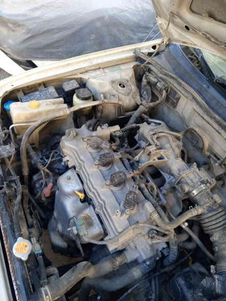 نيسان سني 2009 ياباني 
سياره كفاله عامه من صبغ وتبديل ماشيه 112 الف كيلو متر حقيقي اربع دكم كهرباء برغي ممفتوح بيه سويجات عدد 2 السعر 115 وبيه مجال حك جيه لاتكتب عنوان مكينه وكير لاتبخير ولاتنقيص
للاستفسار: ***********
