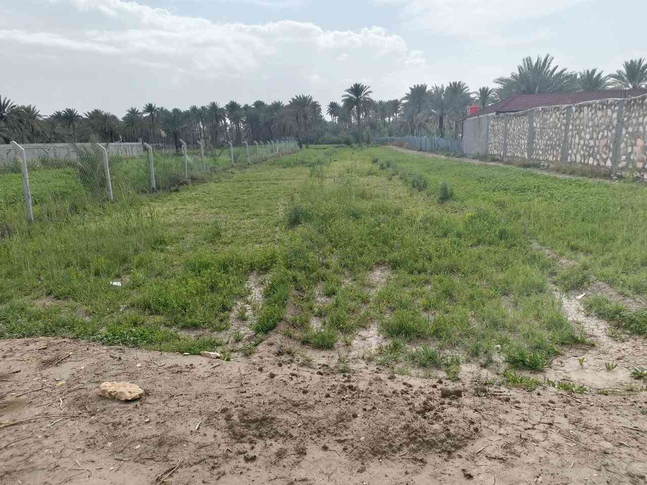 يا الله سلام عليكم
#ارض زراعيه للبيع 
المساحه ٣الاف متر  كما موضح ب الصور 
#سند ٢٥ تحويل مباشر ب اسمك
الارض دولار يعني تبقيه شهر تصعد فوك سعره 
#متوفر جميع الخدمات ماء  كهرباء مولدة شارع 
الموقع/شارع ١٠٠الرابط بزل حجي علي تبعد عن شارع ١٠٠ 
العام ١٠٠ متر 
للاستفسار اكثر اتصل على الرقم وبخدمتك‪‏‪0787 689 2247‬‏
