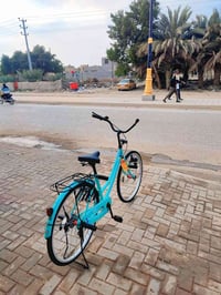 باسكل • بيه مجال