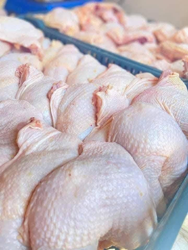 غداً يتوفر دجاج وزن من 2 كيلو الى 4 كيلو 

يتوفر دجاج مقطع 
صدر.فخذ.كبد.اجنحه.قفص الظهر.

للحجز والاستفسار واتساب أو اتصال 
***********

العنوان كركوك حي النصر شارع الوسط مجاور لمخبز النصر الثانيه ومقابل اقمشه صوفي 
عمر ابراهيم مصطفى زياد
