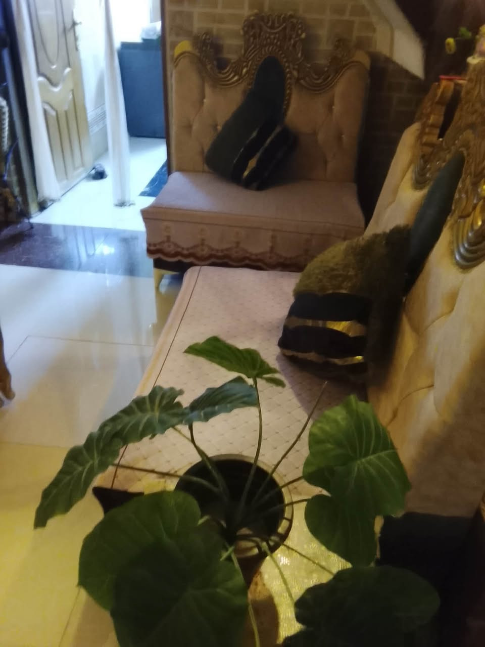 غراض بيت نظيفه للبيع 
الديوان سعره 300 وبي مجال
وتخم سعره 350 وبي مجال 
الميز سعره 40


**إذا كنت صاحب هذا الإعلان وتريد حذفه لأي سبب، رجاءا أرسل رسالة إلى الدعم الفني**