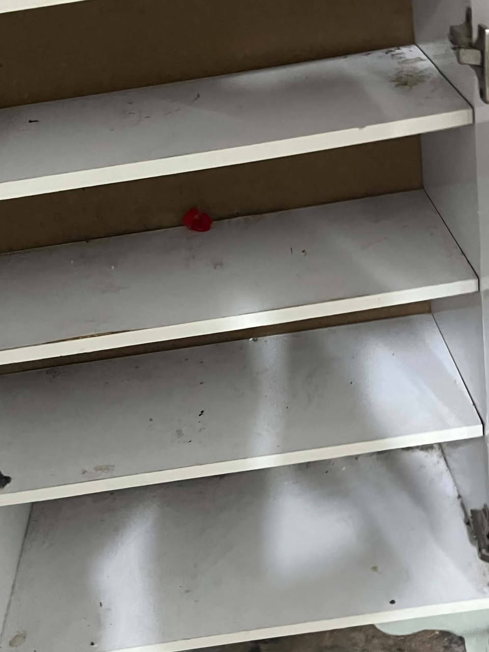 ئەم شوین پڵاوەم هەیەئەفرۆشم شکاوی نیە زۆر تازەیە لەکەلارم بۆنەرخ چات کەن


**إذا كنت صاحب هذا الإعلان وتريد حذفه لأي سبب، رجاءا أرسل رسالة إلى الدعم الفني**