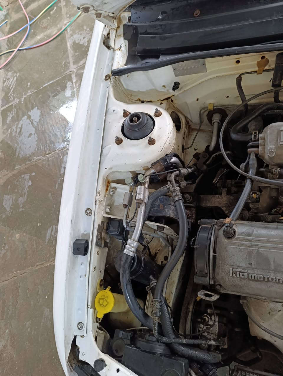 السلام عليكم كيا سيفيا موديل 1995 رقم بغداد مشروع وطني سنويه ما منتهيه مصبوغه حزام للجماليه لا ضربه ولا كص متعهد تحويل مباشر كير ومحرك زغير (مفتوح)خير من الله لا تبخير ولا تنقيص كهربائيات كله شغاله تخم تأثير صدر امامي وخلفي جديد مشط باور شغال تبريد عاطل مكاني بابل جبله *********** السعر 40وبيه مجال قليل
