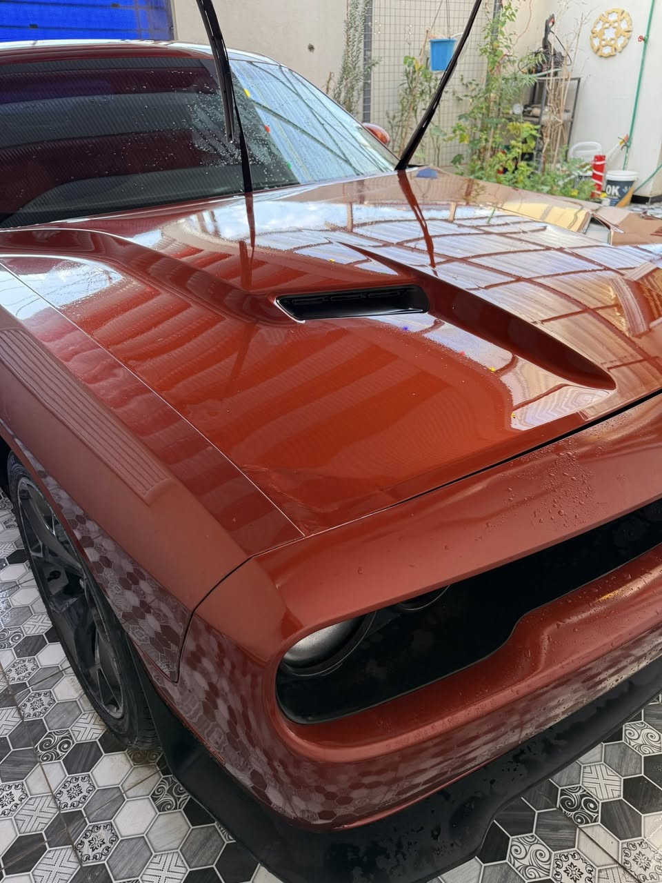 Dodge Challenger 2020 SXT
150 ورقه رقم بصرة 
ماشيه 150 الف
شغل الكشنات كنتاره جلد وشامو بلون السيارة
دركَة SRT كاربون ڤايبر
لون مشمشي مميز
بيها قطعتين صبغ وتبديل قطعة
سيارة جاهزة مابيه نقص تخم تاير مكينة گير تبريد كفالة سيارة نصبته كلش حلوه احلى من الصورة
صور الحادث وفحص السنوار بالمنشور 
العنوان بصرة 
2C3CDZAG4LH240125 رقم الشاصي
للاستفسار ع الرقم 
***********
