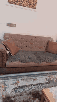 مكلفه بلنشر غرفه نوم نظيفه للبيع السعر 500  وتخم للبيع السعر 600
زعفرانيه رقم الهاتف ***********
