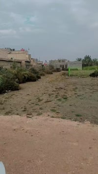 شط العرب باب الهواى • طابو صرف زراعي • ١٠٠م/١٥٠م/٢٠٠م