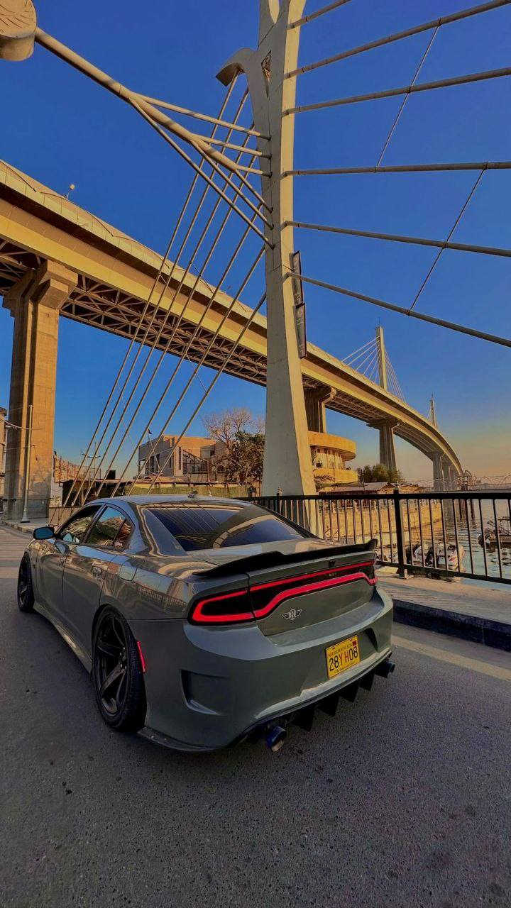 يالله البيع جارجر فول موصفات عدئه الفتحه سياره كارتون
مو جارجر عاديه

مزوده صوت صالنصه جهاز بوابه

مكينه 3600 

كير طياره 8نمر

تزود بوشه

صوت طلقات

الدات متغير الوان داخل وخارج

ويل نجمه تاير رياضي

دسكات

تبريد تفه

شاشه كبيره

سياره جاهزه عله اخر حبايه

شرط دور الفيس كله لاالكيت نفس الشكل تاخذها بلاش

متومه رقام وسنويه شرط الحاسبه بغداد بس شغلهن واحده كلفني 10 ورقات

سنويه ام الحفر الصليه

تشغيل عن بعد مانع نزلاق هواي بيه موصفات  

دمام صوت

سعر 85 وبيه مجال مكاني ديوانيه

رقم تليفون ***********
