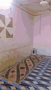 بيت زراعي • ٢٠٠م • الفضليه شارع المحطه