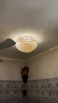 ديكور منزلي • عدد ٢ • للبيع