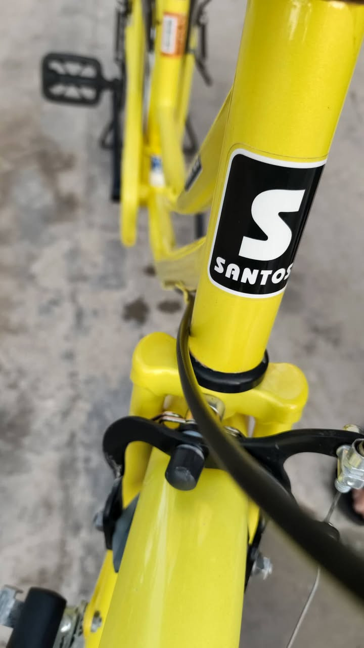 سلاك عليكم حبايب باسكال
لو مميز 
الباسكال  صارله شعر من طالع 
سانتس 
مختوم 
الباسكال شوفت عينكم
 متواجد خاص
ورقمي هاذ *********** مكاني كربلاء طوريج
