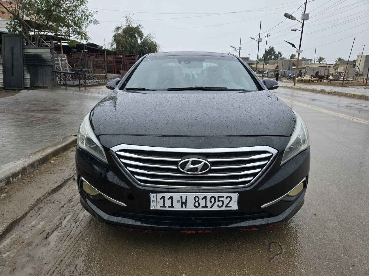 سوناتا ٢٠١٥  فوول مواصفات رقم بغداد دولي هزه فحص رقم جديد بانوراما بصمه تشغيل بصمه أبواب شاشه كبيرا كامرا دواره كشنات كهرباء خزن مموري جلد تدفئة تبريد كشنات تبريد شاشه فوول تحكمات اشاير بلمري كير محرك تبريد جديد حادثه جاملغ وبنيد السياره جاهزه السعر   105 الاتصال ***********
