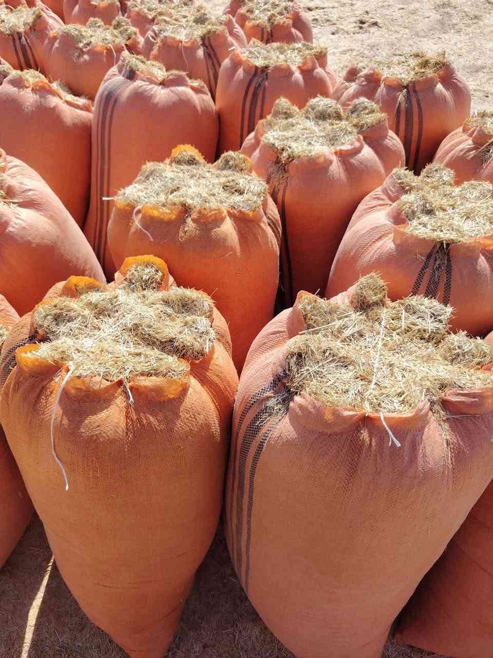 يوجد تبن مجروش وكبس معى توصل الأنبار ابو غريب وبغداد وهاذى رقمي *********** بيه واتساب
