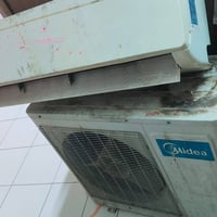 سبلت • كلش طنين • بسمايا