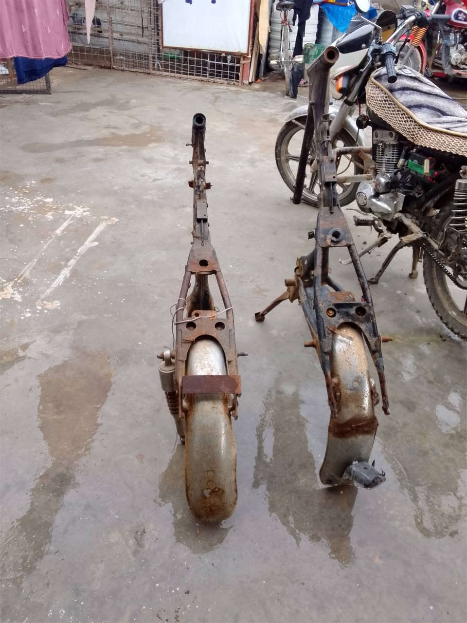 البيع شواصي نضيفات المكان ديالى  100وبيهن مجال بسيط ***********
