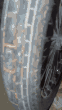 السلام عليكم للبيع دراجة سونك خمسه كير محرك 200cc موديل 2024 نازله
بل 2025 الدراجه جديدة ما ناقصة اي شي

تخم تاير🛞 جديد 

دبل إشارة و يمنة و بسرعة🔜🔙

دبلات امامي خلفي جدد 🏍️

لايت عالي ناصي 

دشبول شاشة

سلف هندر نكرة 

الدراجة واحد على واحد 💯

محرك ناعم خير من الله
مكاني الشعب 📌
سعر 850 وبيها مجال 💲


**إذا كنت صاحب هذا الإعلان وتريد حذفه لأي سبب، رجاءا أرسل رسالة إلى الدعم الفني**