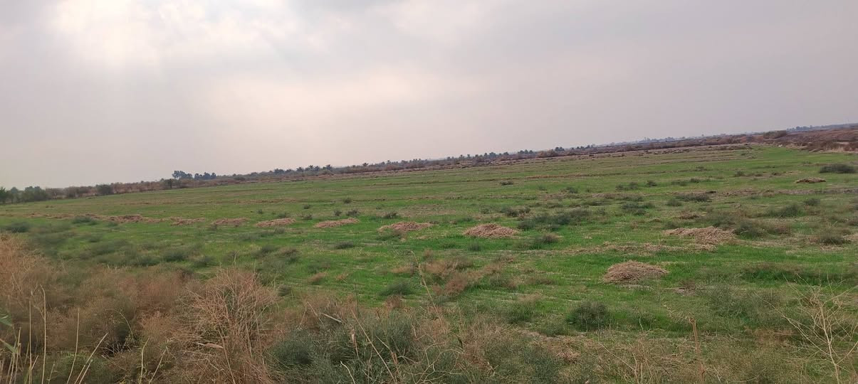 سلام عليكم.للبيع ارض 15 دونم طابو ماء وكهرباء طريق رسمي الدوانيه قضاء الدغاره طريق دغاره شوملي ***********
