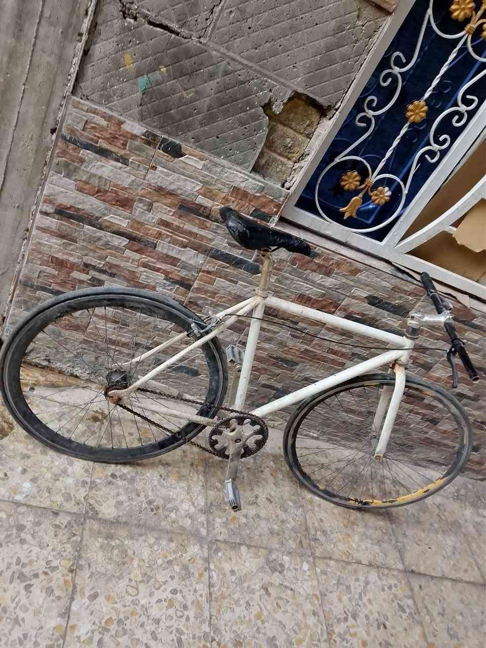 لسلام عليكم باسكل فكسد النقوصات جوب خلفي والزنجيل يفلت بسرعه الوياله المنيوم السعر 30 الف وبي مجال حك الجيه المكان بغداد الزعفرانية موجود واتساب
*********** او مراوس بناتي وانطيك فرق
