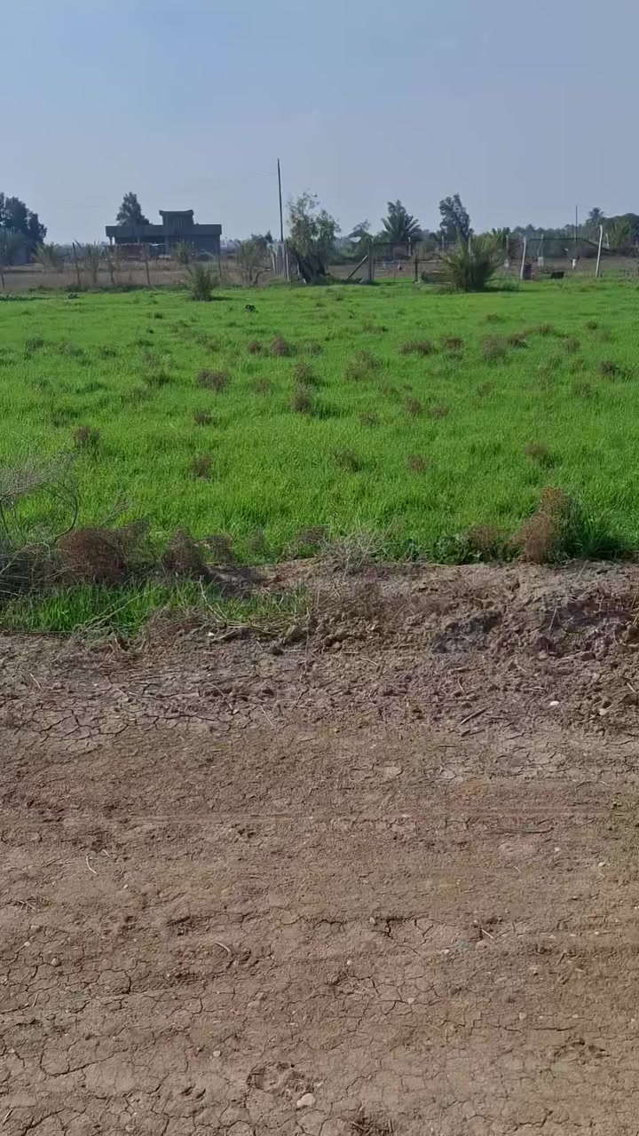 السلام عليكم
دونم طابو زراعي سند ٢٥  ركن 
ابو غريب الشيحة  قرب مزارع طيبة 
كافة الخدمات متوفرة 
للاستفسار 
***********
***********
