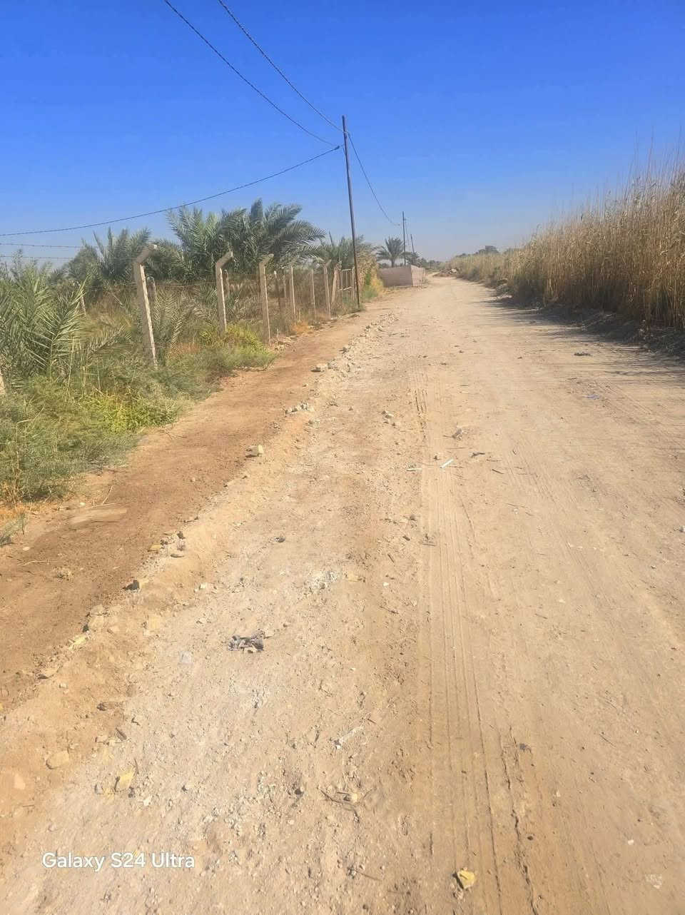 يا الله يتوفر ارض 2000م طابو زراعي سند25
واجهه الأرض 50م 
الخدمات ماء اساله كهرباء طريق سالك بعرض 8,م خط مولده تبعد عن تبليط 150م 
تريده سكن. حديقه ترفيهيه مخازن 
موقع طريق حله نجف خلف جامعه بابل مباشر حي سجاد 
لتواصل اتصال ***********
بعض صور من واقع الأرض
