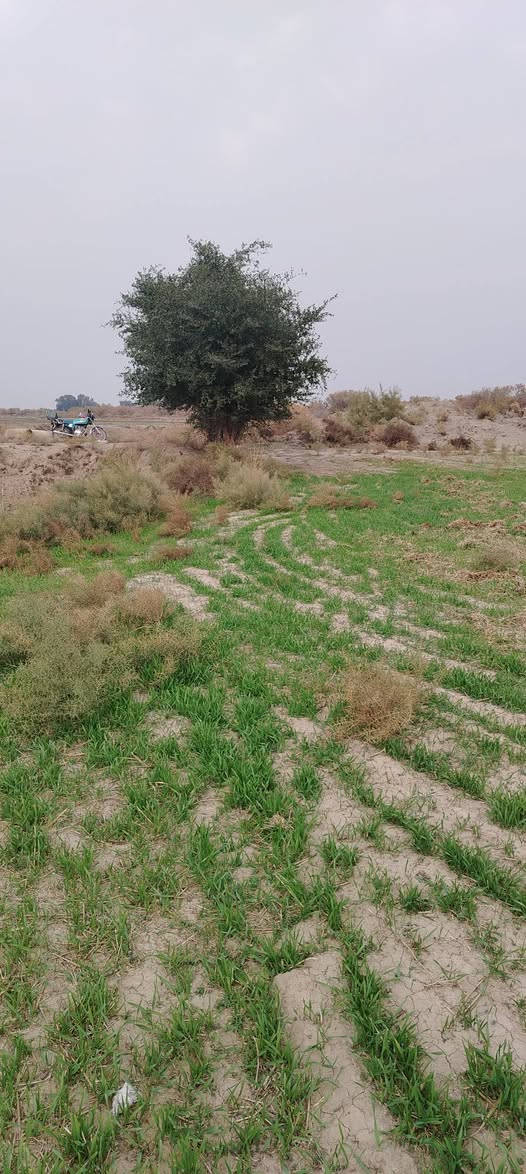 ارض للبيع 15 دونم طابو ماء صيف شتاء +كهرباء طريق رسمي طريق دغاره شوملي يم صوره الشهداء العويدي تبعد عن الشارع العام كيلو واحد *********** واتساب
