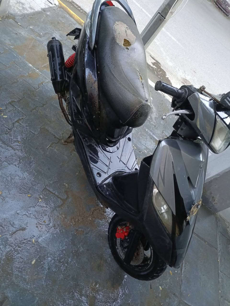 السلام عليكم ماكس ثعلب جاهزه محرك ناعم تشتغل سلف هندر  نص نگره تشتغل معدل شلعه حلوه كفرات بلاديه ختم واحد كلهه مختمه كابريتر اصلي مال رمبه كهربائيات كلهه شغاله لايت اشاير سكن دشبول گيج بانزين شغال نقص بريك خلفي خفيف السعر 375 مكاني شارع حيفا ***********
