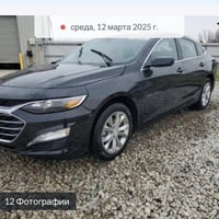 ماليبو • ٢٠٢٤ • بعقوبة