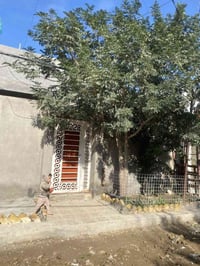 نهايت شارع صافي • طابو زراعي • ١٥٠م