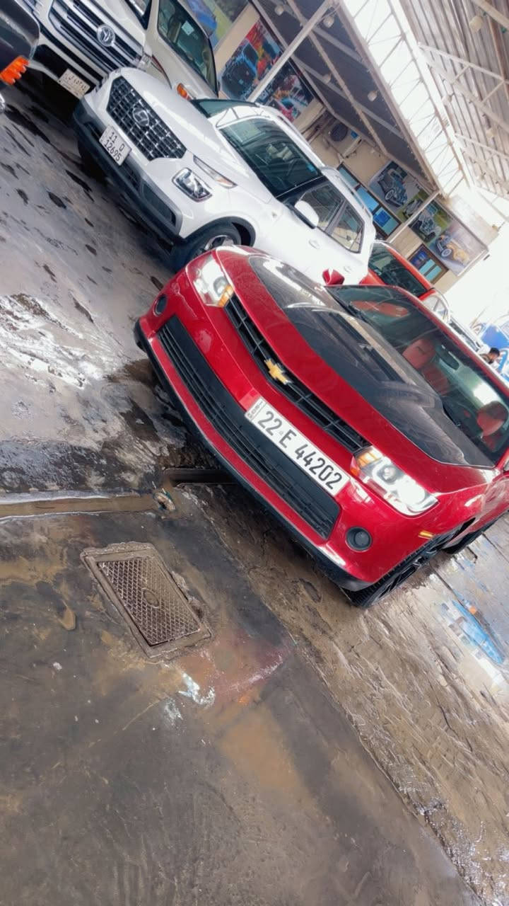 السلام عليكم كمارو 2015 v63600 الضررجاملغ خلفي ايمن وضرر خفيف كلش وشويه من الباب موصفات rs معروفه اضافات عليه بنيد كاربون فايبر الياف حقيقي كشن كهرباء تراكشن كونترول ثلاث وضعيات غرفه احمر محتمه rs تحكمات ستيرن سبورت مود شفتات ستيرن شاشه عطال وبعد بيه هوايه موصفات السعر 105 $ مكان السياره بغداد معارض البياع معرض الاخلاص شارع السنتر 
هـ ***********
