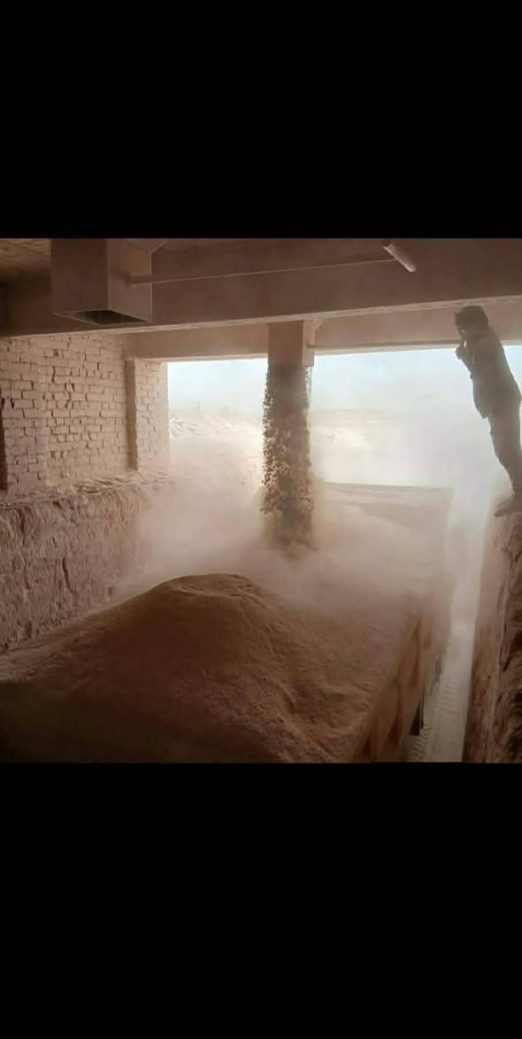 جص الكرمه الجزيره ع فحص حمل فول جص ع فحص الكميه 150كونيه اذا جص مو زين او حمل مو زين يرجع) خابرني وتدلل ه‍ ***********
