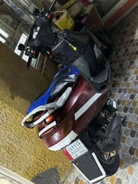 فراشة • نضيفه • الخالص هبهب