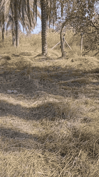 طابو زراعي • ١٤٠٠م • الجرية الحسينية