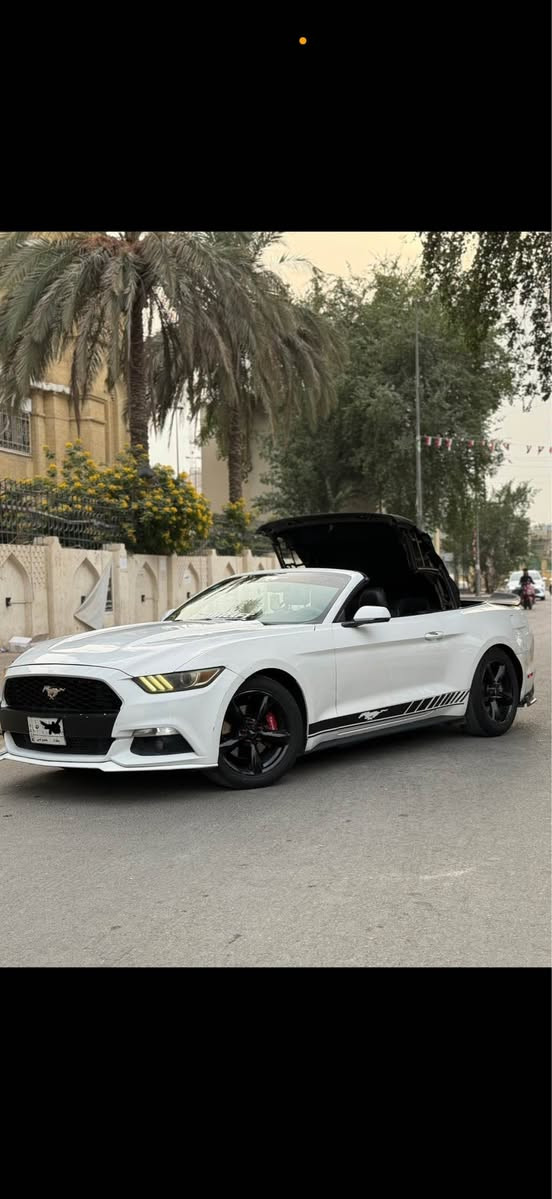 ياالله 
السلام عليكم فورد موستانك للبيع:- بريميوم 1/1 السياره فول موديل 2015 
المسافه المقطوعه:- 58 ميل
حادثها جاملغ خلفي  بدون ايرباك
وبيها قطع صبغ ابيعلك حزام 
حجم المحرك :- 4سلندر ايكو بوست 

المواصفات :-
1 -كشنات جلدوكهرباء وبطاين جلد 
2 - كشن حار بارد داخل 7الوان 
3 -  نضام ترحيب عند الاقتراب وشعار 
4 - بصمة تشغيل 
5 - الداخل مطعم كابون 
6 - كشف نضيف 
7 - شاشة كبيرة 
8 - حساس خلفي 
9 - كامرة دوارة خلفية 
10 - كزوز بلادي 
11 -شفتات ستيرن
12 - هيتر بالمري 
14 - هيتر ستيرن 
15 - تخم تاير جديد 
16 - كير اوتو 
17 -  فول تحكم ستيرن 
18 - مثبت سرعة Cruise Control
19 - شعار بوب وكلاصات
20 - هيتر مري جانبيه
21 - لحيه إماميه 
22 - لد امامي +لد خلفي 
23- لايتات زينون بلادي 
24 - حساس ايطارات
25- شاشة اضهار وتنبية الاعطال
26 -بلوتوث Usp 3 مخارج
27 -ثلاث وضعيات قيادة Eco + Normal + sporT
بيها نواقص بسيطه السياره كلش 
 مكان السياره بغداد / اعضميه
السعر  98 وبيها مجال بسيط  
*********** بغداد, العراق
