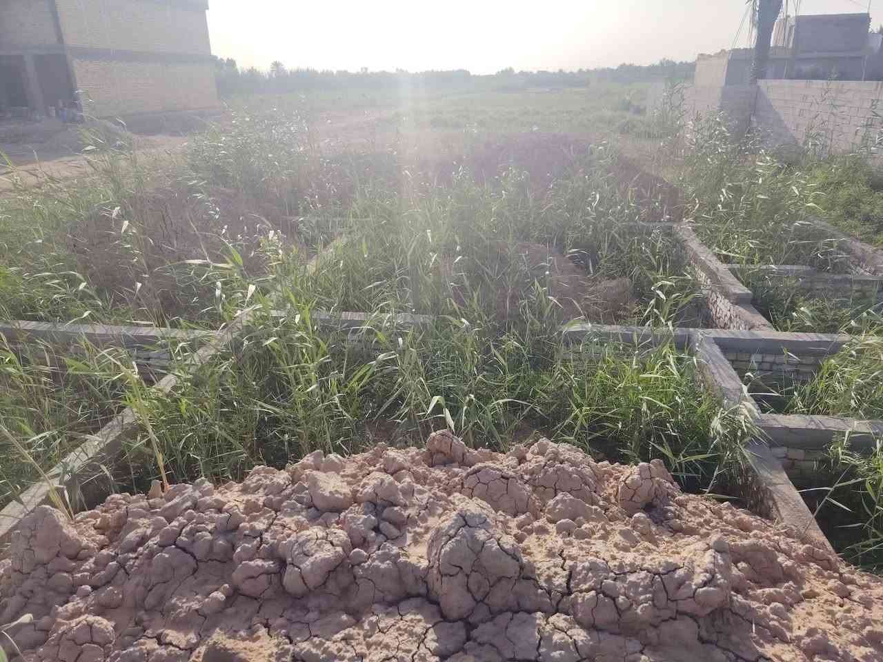 كاع بداحره عقد ١١٧ مساحه 1200 وجه عسده وجه 24 ونزال 50 بيهه بتلو مساحته 200 حديث شغل مهندس بي ثلاث غرف
كاع بداحره عقد ١١٧ مساحه 1200 وجه عسده وجه 24 ونزال 50 بيهه بتلو مساحته 200 حديث شغل مهندس بي ثلاث غرف 
***********اتصل او تفظل خاص
