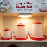 تتوفر معالف يدويه للدواجن يمكننا التجهيز بكل الكميات الاحجام من 1كيلو ...