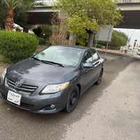 ٢٠١٠ • محرك شرط • بونيت مصبوغ