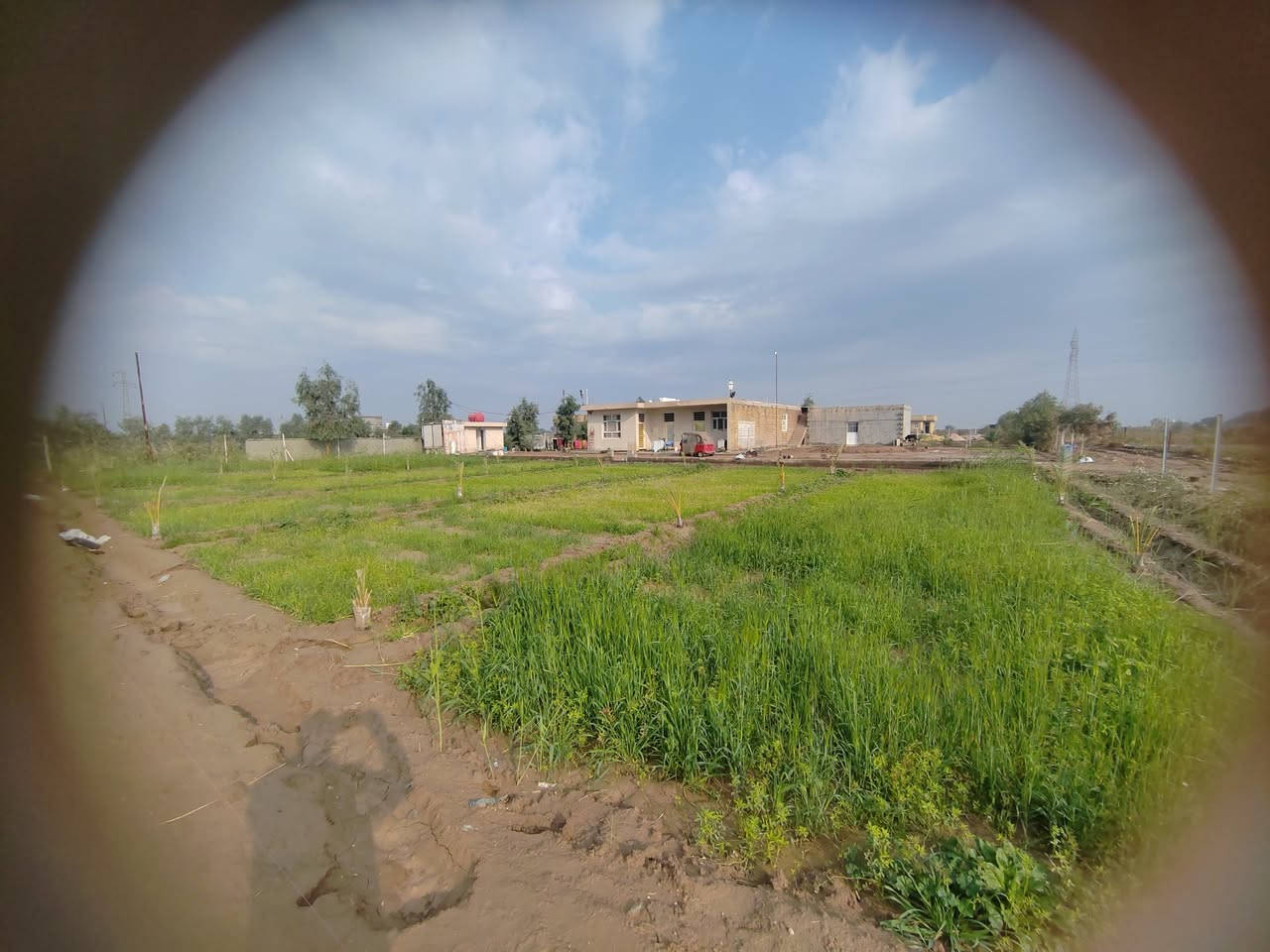 دونم زراعه.مع منزل300متر مع مشتمل.رقم الهاتف ***********
