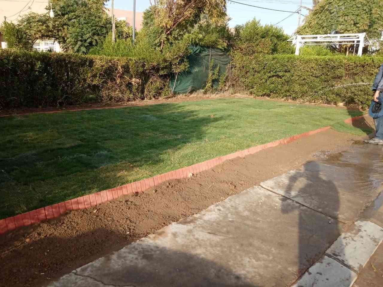 حديقي
قص تيل 

تنظيف 

تقليبها

تبديل تراب 

زرع تيل 

وضع طابوق 

تشجير وزراعة الورد

متابعة شهريه

وضع ديكورات حسب رأيك 

كل يوم ديزاين جديد .

نعمل في أربيل 

***********
