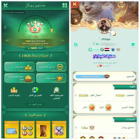 حساب لودو • وجه لوجه • كفيل ابو متجر