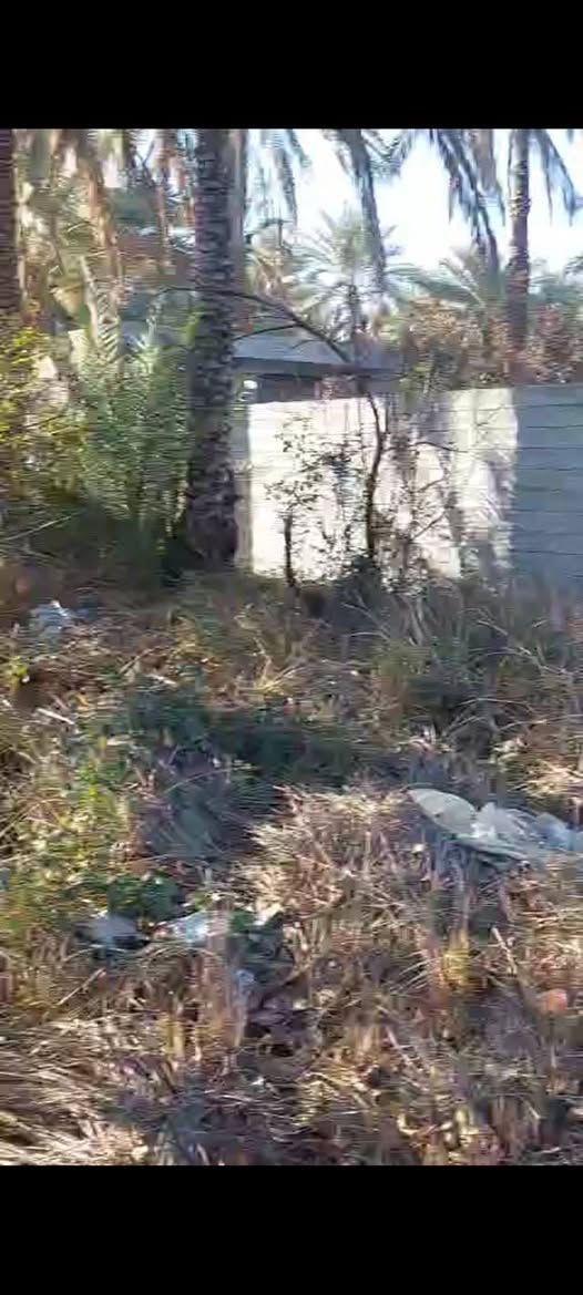 سلام عليكم قطعه ارض زراعيه سنه 25
المساحه 300 م
النزال 30
الواجه 10
المكان كربلاء شارع الحسينيه قرب الكنطره البيضه 
السعر خاص 
للأتصال ***********
ممتواجد ع الفيس فقط اتصال
