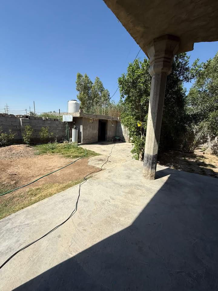 بيت للبيع في ابو غريب
المساحه 480
صنف الارض زراعي 117
العنوان طريق السايلو منطقه كاظم العذاب
السعر 50 وبي مجال
***********
