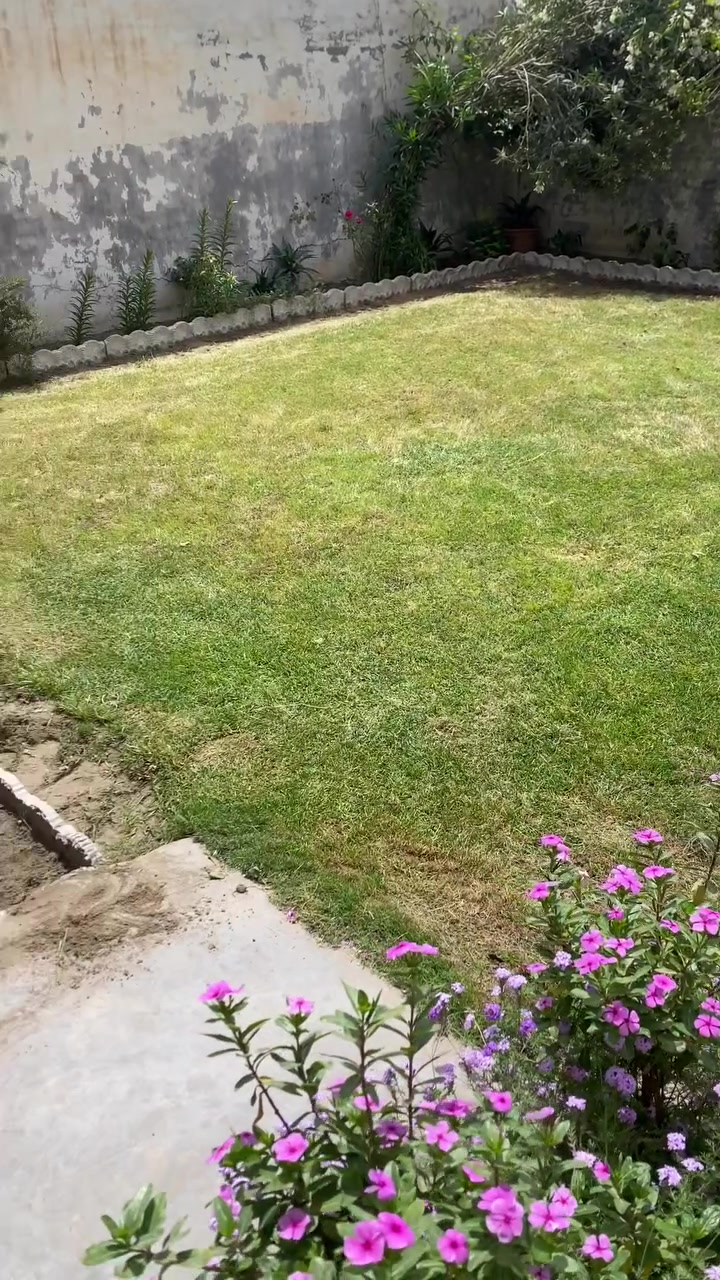 اني فلاح انضف حدائق وزرع ثيل وترتيب مكاني بابل حله ***********
