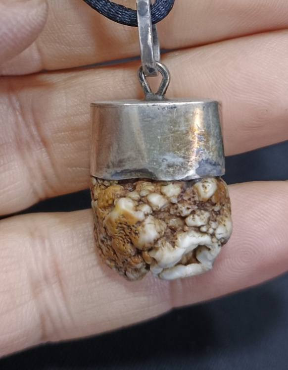 زوعه قديمه للبيع ***********
