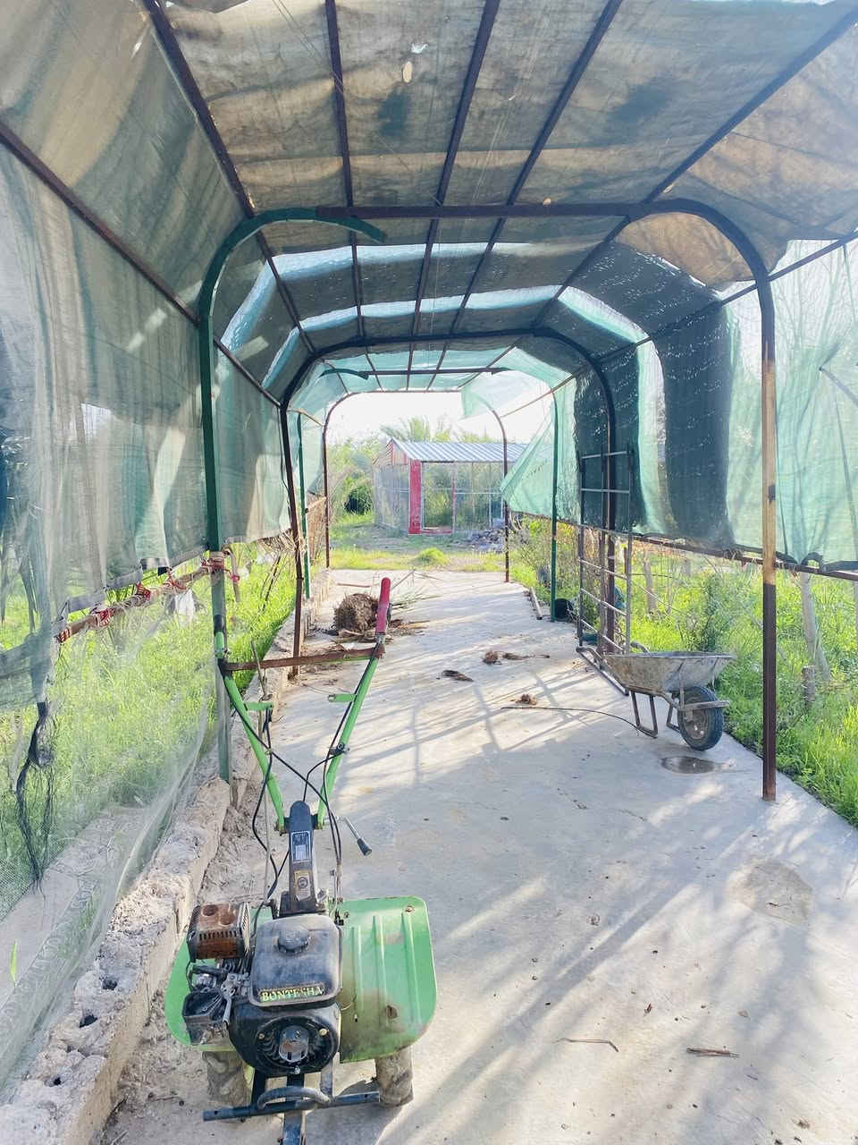 🏡 للبيع او مراوس – مزرعة + بيت سكني + قطعة أرض إضافية

📍 الموقع: الشهابي الأولى – تبعد 10 دقائق فقط عن مركز مدينة الفلوجة.

✨ التفاصيل:
• مزرعة واسعة مزروعة بأنواع نخيل مميزة: برحي، خستاوي، حمراوي، تبرزن.
• أشجار مثمرة متنوعة: عرموط (كمثرى)، تفاح، ليمون، برتقال، لالنكي، نارنج، خوخ، تين وغيرها.
• بيت سكني جاهز للسكن.
• قطعة أرض خلف البيت – المساحة الكلية: دونمين و700 متر.
• سند طابو زراعي – سند 25.
• تتوفر جميع الخدمات: ماء، كهرباء، مولد.

💰 السعر: 240 مليون 

📞 للتواصل:
• عبر الخاص.
• أو الاتصال على الأرقام:  ***********
                                           ***********
