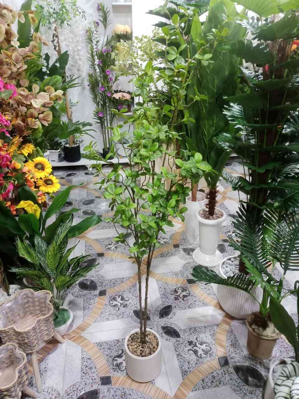 نباتات وأشجار اصطناعية مقاربة كلش للطبيعية 🍃 

متجر #سعفة

موقعنا شارع حي الجمعية الاولى خلف المركز الصحي

متواجدين يوميا من الساعة 3 عصرا حتى الساعة 11 ليلا

#الانبار #هيت


**إذا كنت صاحب هذا الإعلان وتريد حذفه لأي سبب، رجاءا أرسل رسالة إلى الدعم الفني**