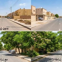 زقاق 13 • شتلات اكاسيا • شتلات الالبيزيا