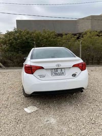 كورلا 2019 • رقم بابل • نصه صبغ